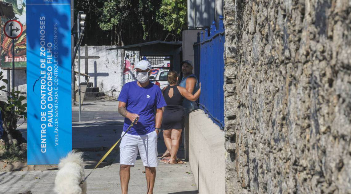 A busca por um lar para animais abandonados incentivou a cria&ccedil;&atilde;o da campanha Adote.Visa, iniciativa da Vigil&acirc;ncia Sanit&aacute;ria  - fotos de Ricardo Cassiano