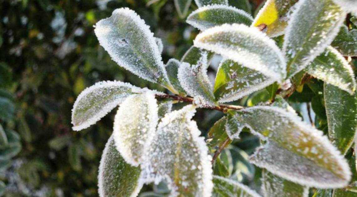 Baixas temperaturas chegaram com antecedência à cidade. Meteorologistas avisam que inverno será rigoroso na serra - Reprodução/Redes Sociais
