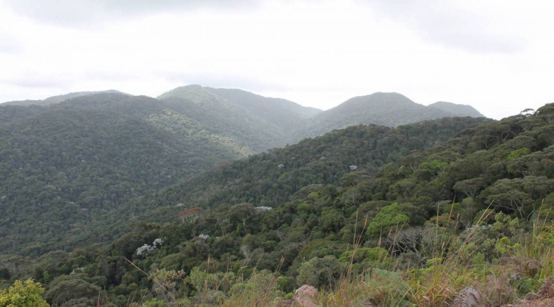 Com 4.398 hectares, Parque Estadual do Mendanha foi declarado Reserva da Biosfera da Mata Atlântica pela Organização das Nações Unidas para a Educação, a Ciência e a Cultura (UNESCO) em 1992 - FACEBOOK