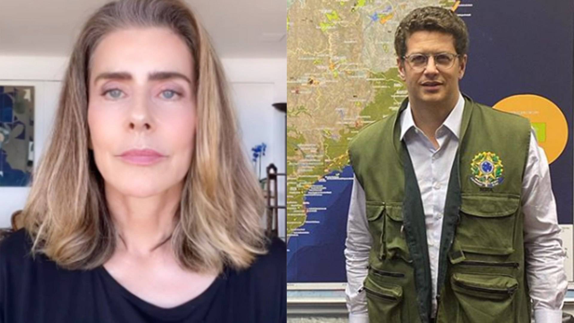 Maitê Pronça critica Ricardo Salles
