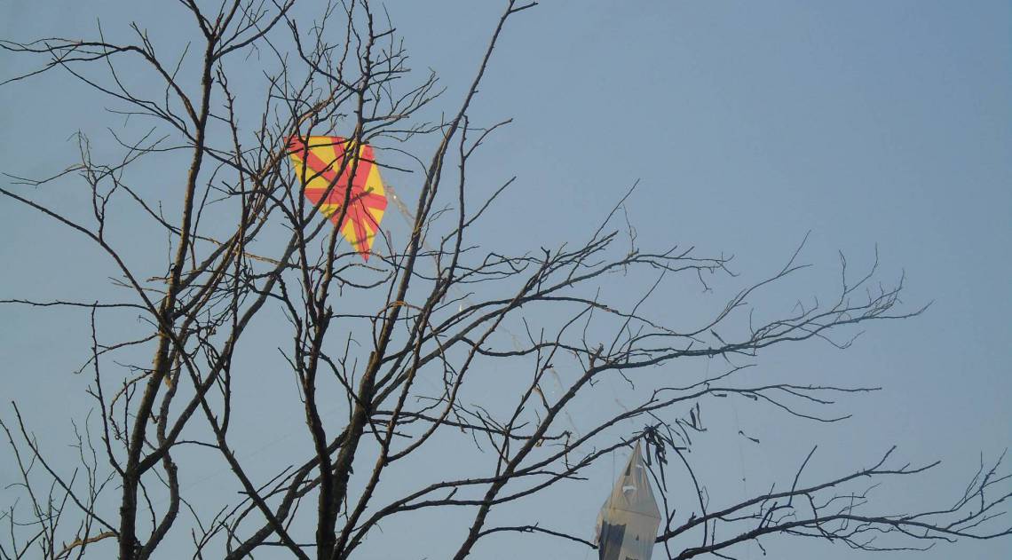 Marcas da divers&atilde;o: &aacute;rvores acumulam pipas "voadas" na Zona Oeste - Danillo Pedrosa
