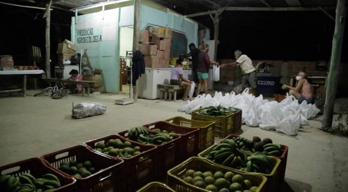 Coletivo Terra produz alimentos orgânicos que serão doados por outros movimentos