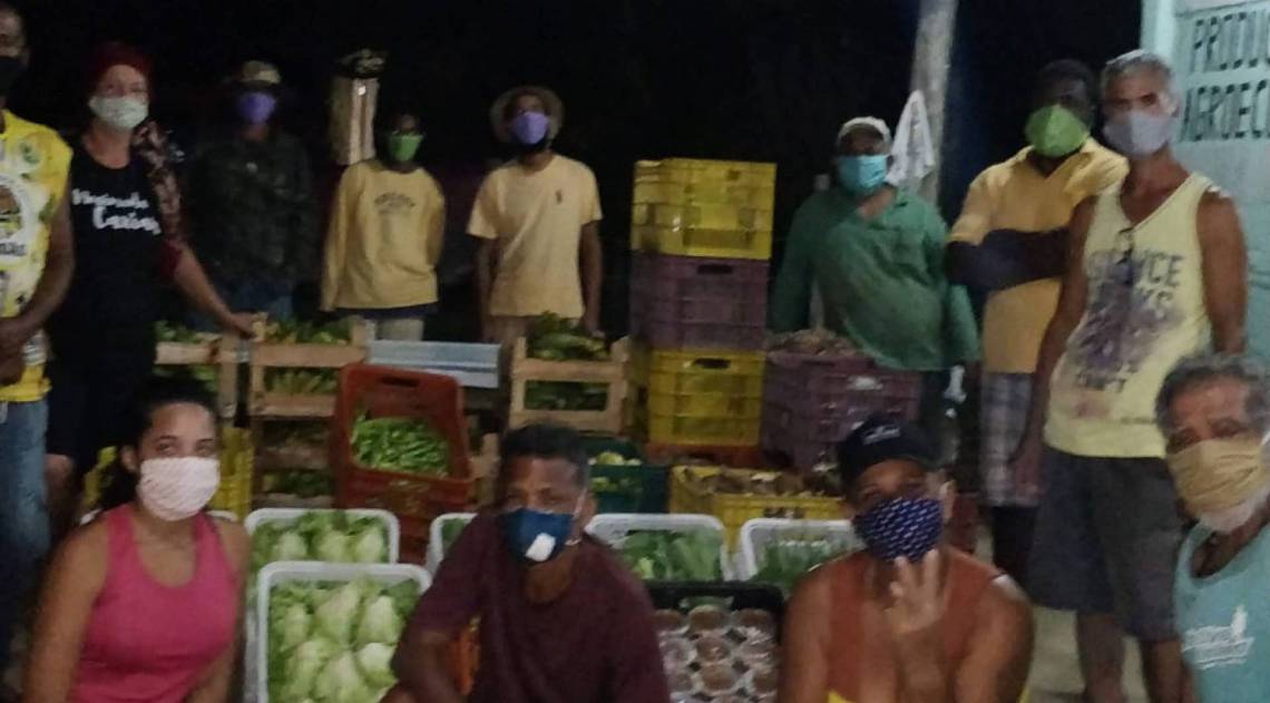 Coletivo Terra produz alimentos orgânicos que serão doados por outros movimentos
