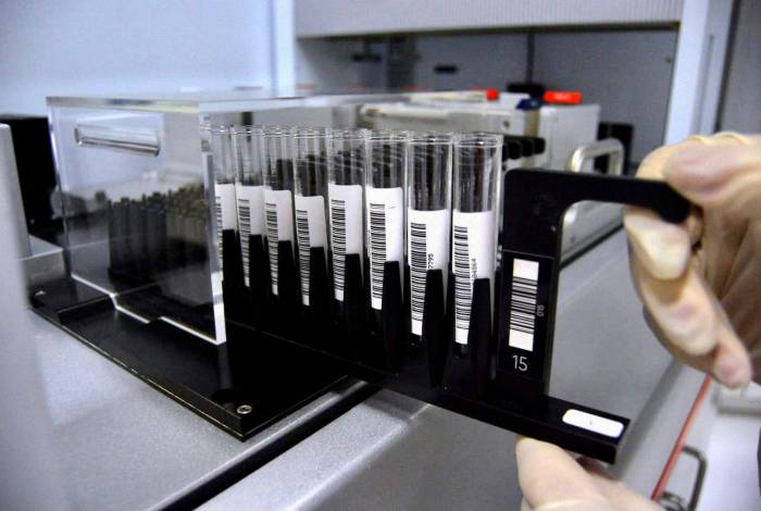 Pesquisa revela aumento no número de pessoas com anticorpos contra covid-19 no Rio