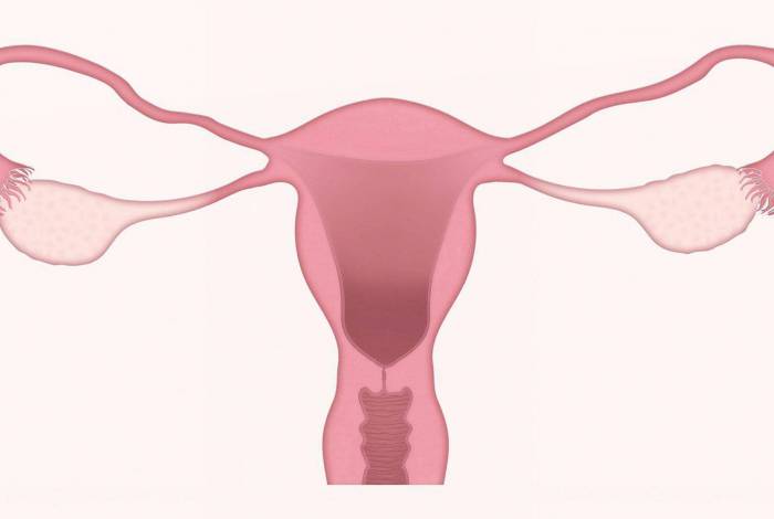 Visitas regulares ao ginecologistas são fundamentais para a saúde da mulher