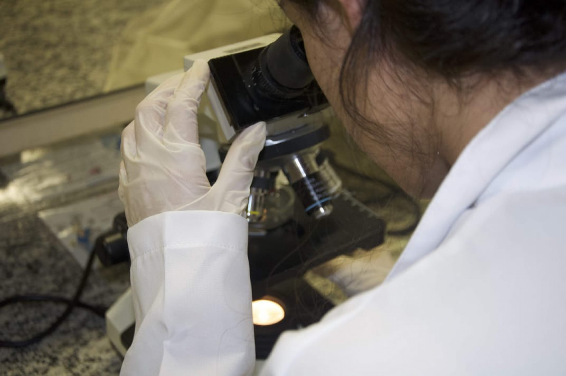 Alerj sanciona projeto que garante pagamento integral de todas as bolsas da Faperj