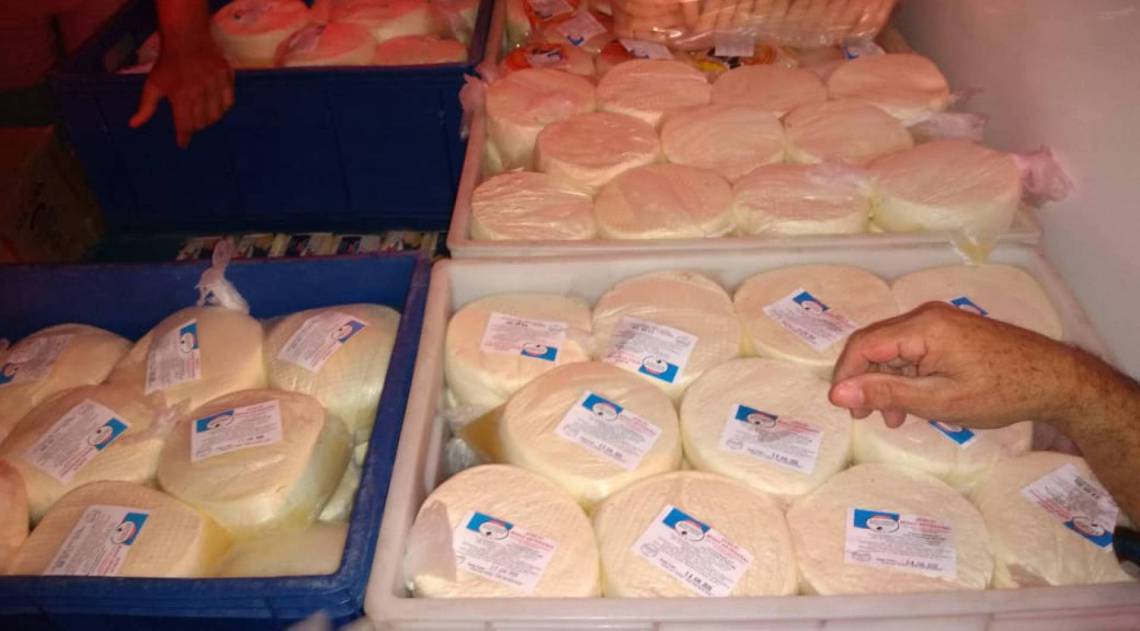 Quase uma tonelada de alimentos foram descartados por oferecerem riscos à população