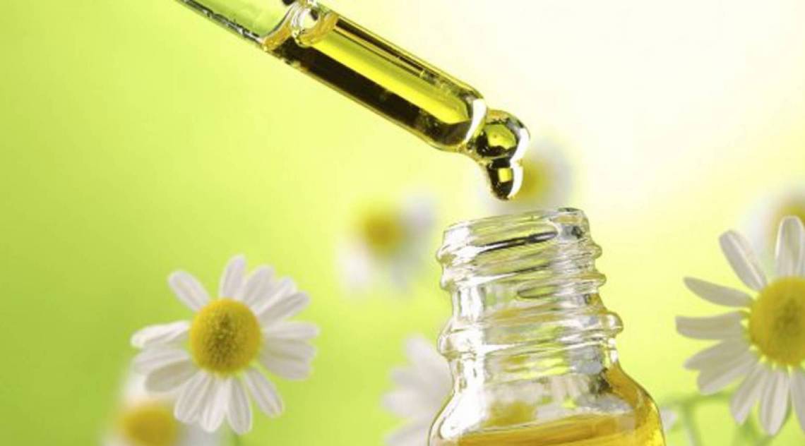 O floral pode ser um grande aliado para sa&uacute;de
 - Reprodu&ccedil;&atilde;o de internet