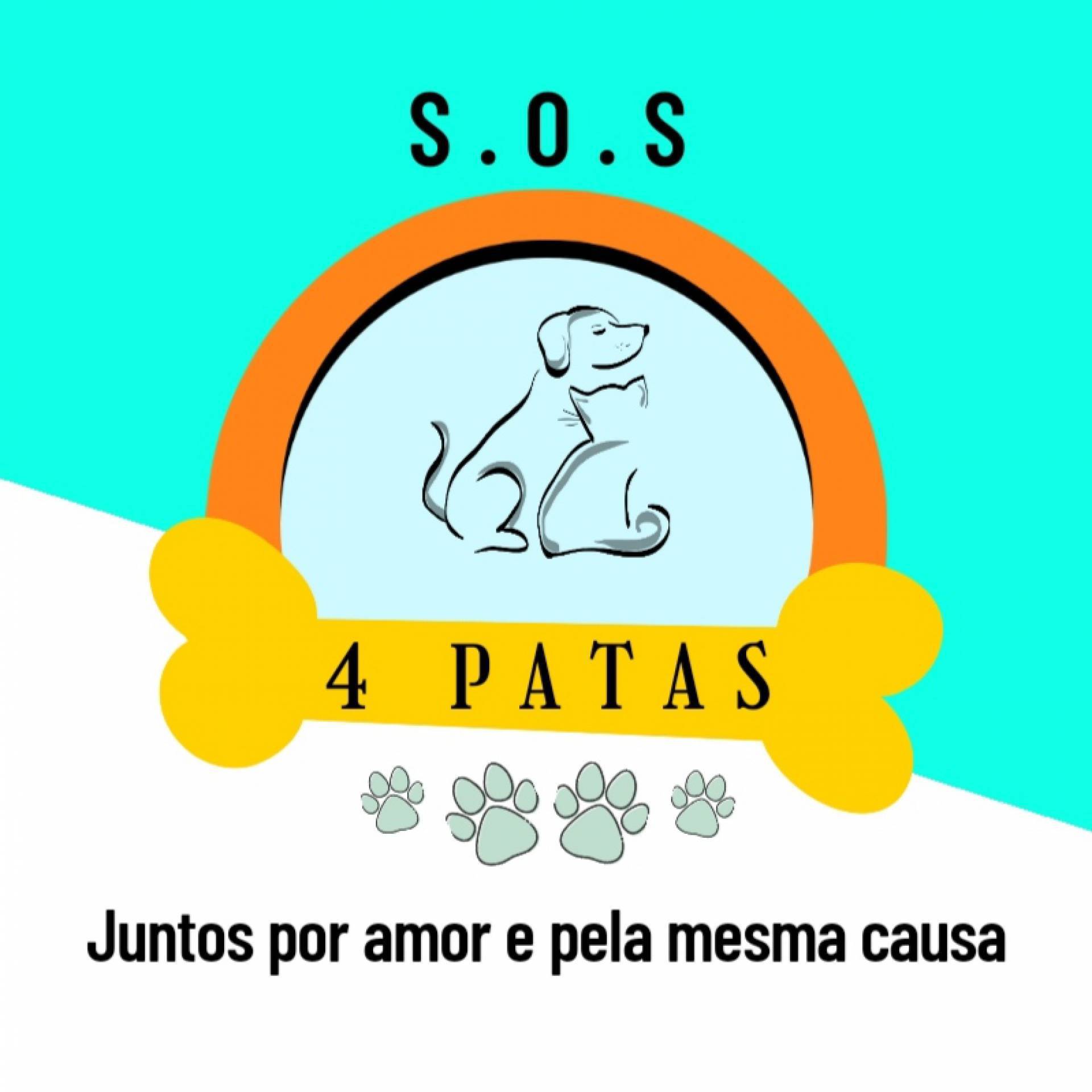 Projeto S.O.S 4 patas  - Aline Martins 