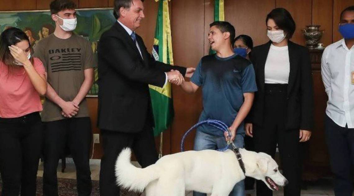 Cão Augusto é devolvido para o dono  - Reprodução