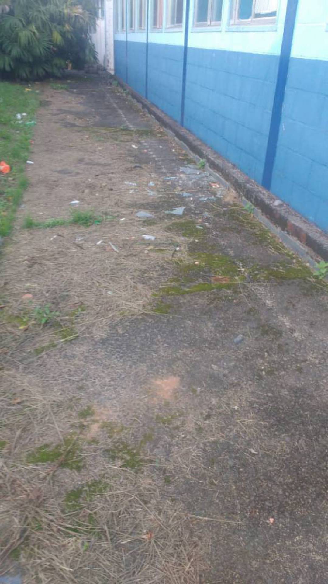 Vidros pelo chão, no lado externo