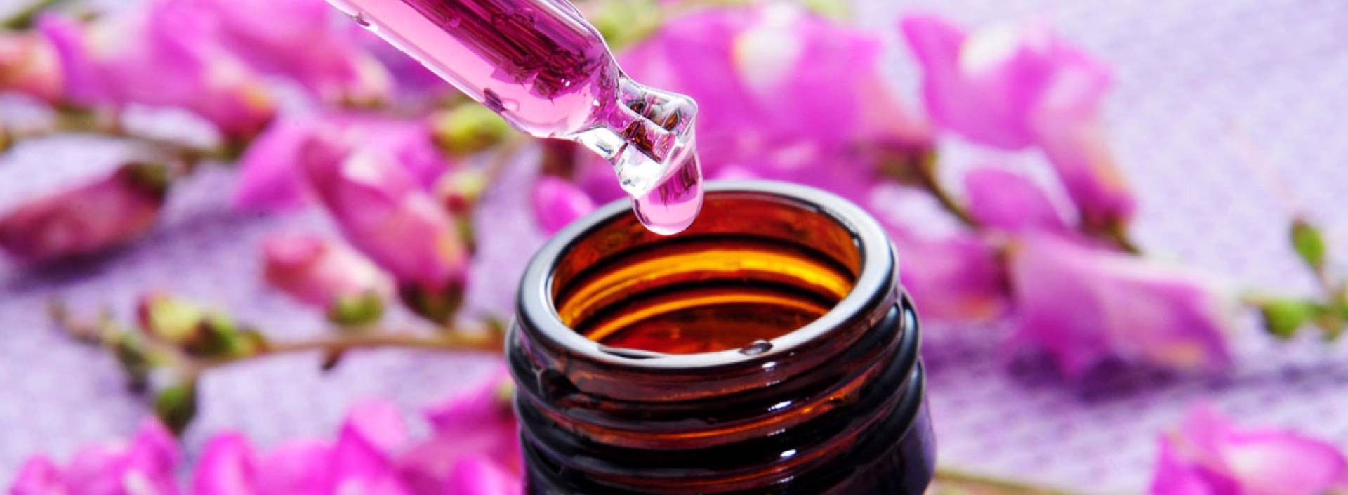 Florais promovem o bem-estar - Reprodução da internet