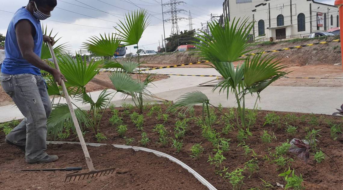 Circuito Esportivo do Jardim Catarina será inaugurado este mês