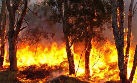 TRF-4 mantém multa de R$ 2 mi a fazendeiro por queimada em 500 hectares na Bahia