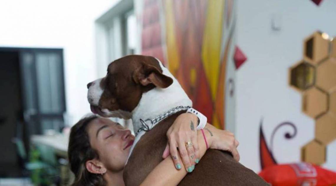 Gabriela Pugliesi - Reprodução