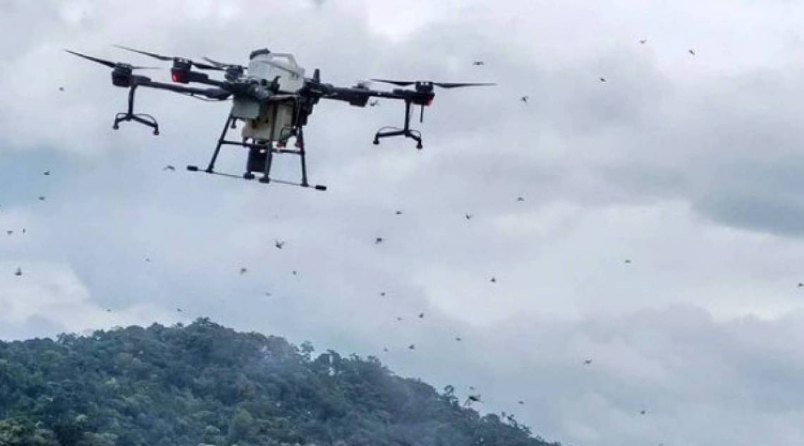 Drones com veneno são enviados para conter nuvem com bilhões de gafanhotos - Reprodução