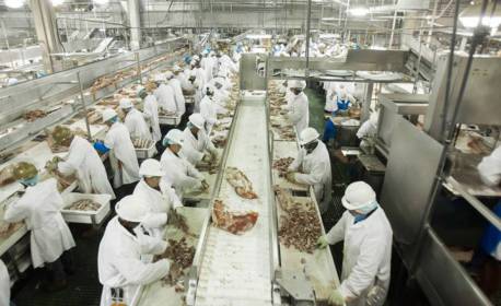 China suspende a importação de frango de dois frigoríficos brasileiros