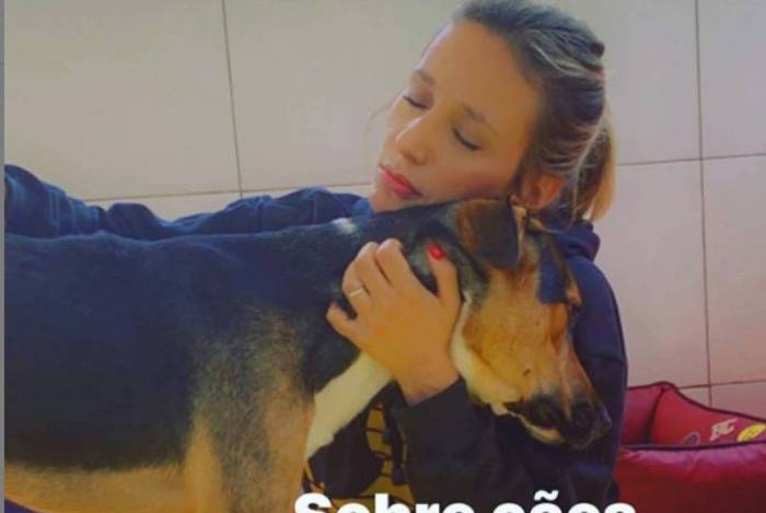 Luisa Mell - Reprodução