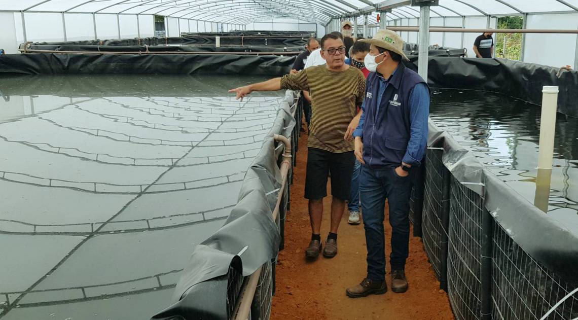 Projeto de cria&ccedil;&atilde;o de camar&atilde;o em Guapimirim