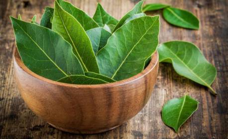 Saiba como fazer ritual para melhorar as finanças