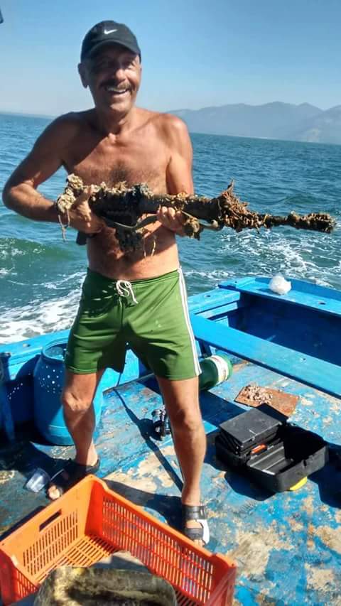 Foto viralizou nas redes sociais 