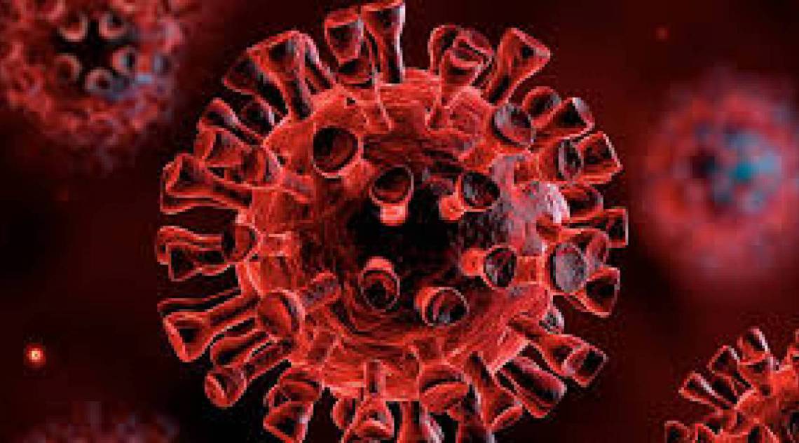 Na postagem com o boletim, a prefeitura manifestou pesar pelas mortes causadas pela doença - Reprodução internet