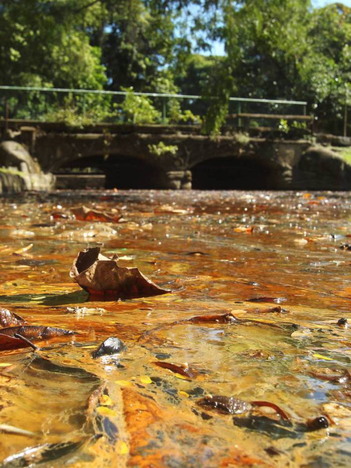 As águas da Quinta da Boa Vista ficaram avermelhadas