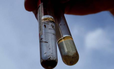 Capital do Rio registra aumento expressivo no número de casos de dengue no primeiro semestre