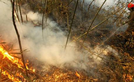 Incêndios voltam a castigar o Pantanal