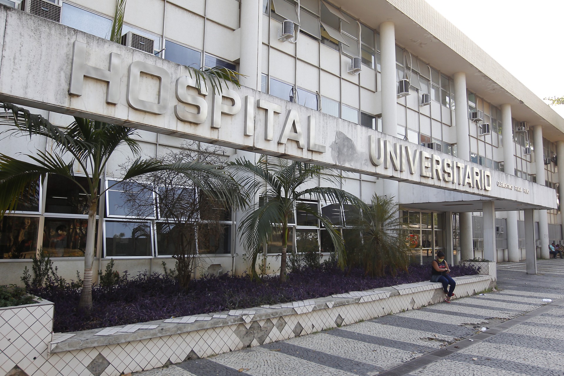 'Nossas vacinas podem morrer na praia', diz reitora sobre cortes da UFRJ