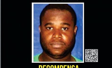 Faustão se refugia com Abelha