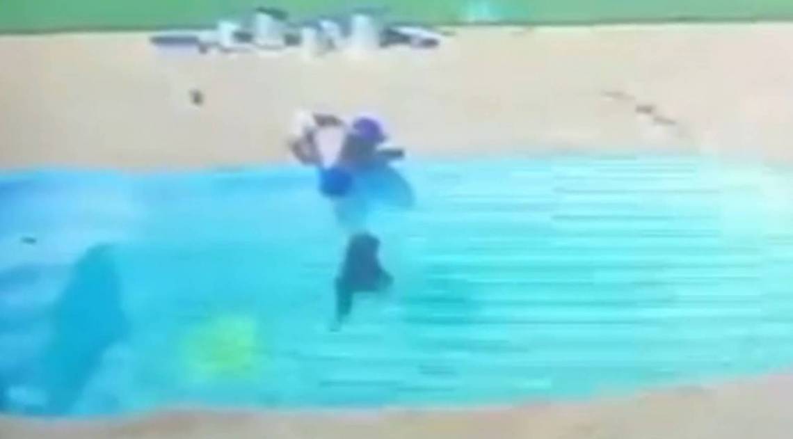 Arthur, 3 anos, salva amigo de afogamento em s&iacute;tio em Itaperuna, Norte fluminense - Reprodução