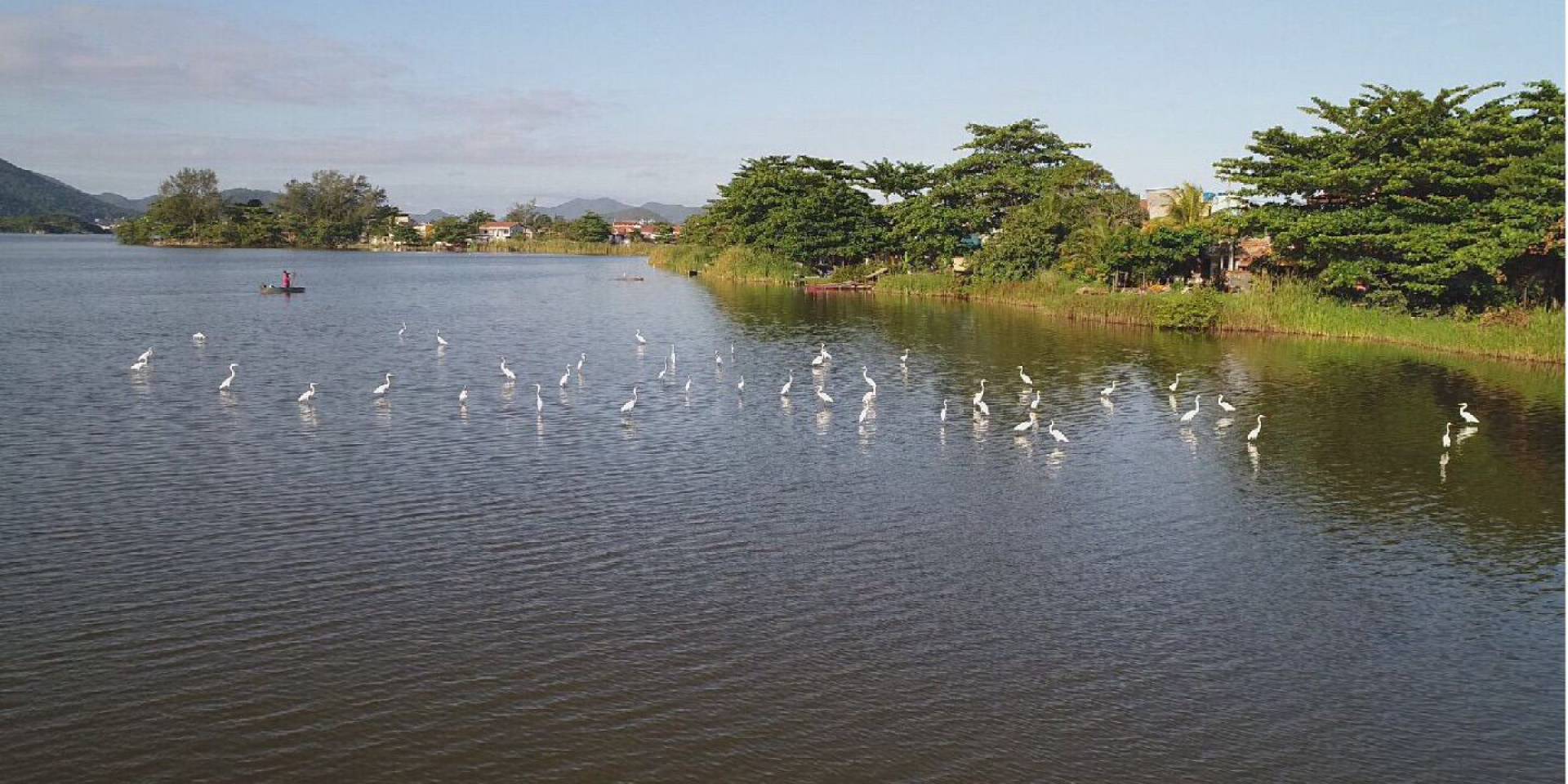 Movimentos sociais fazem limpeza da orla da Lagoa de Piratininga neste domingo