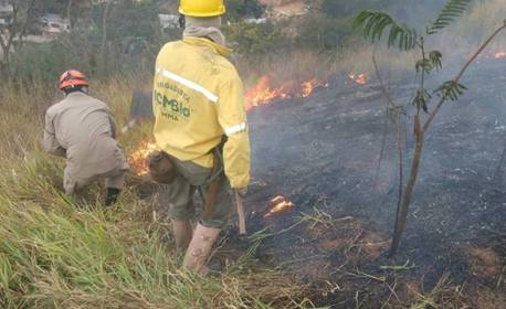 Incêndios no Pantanal motivam estado de emergência em 14 cidades no MS