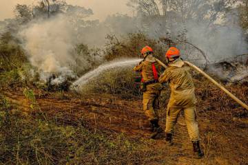 Setembro deve ser o mês de queimadas mais devastador da história no Pantanal