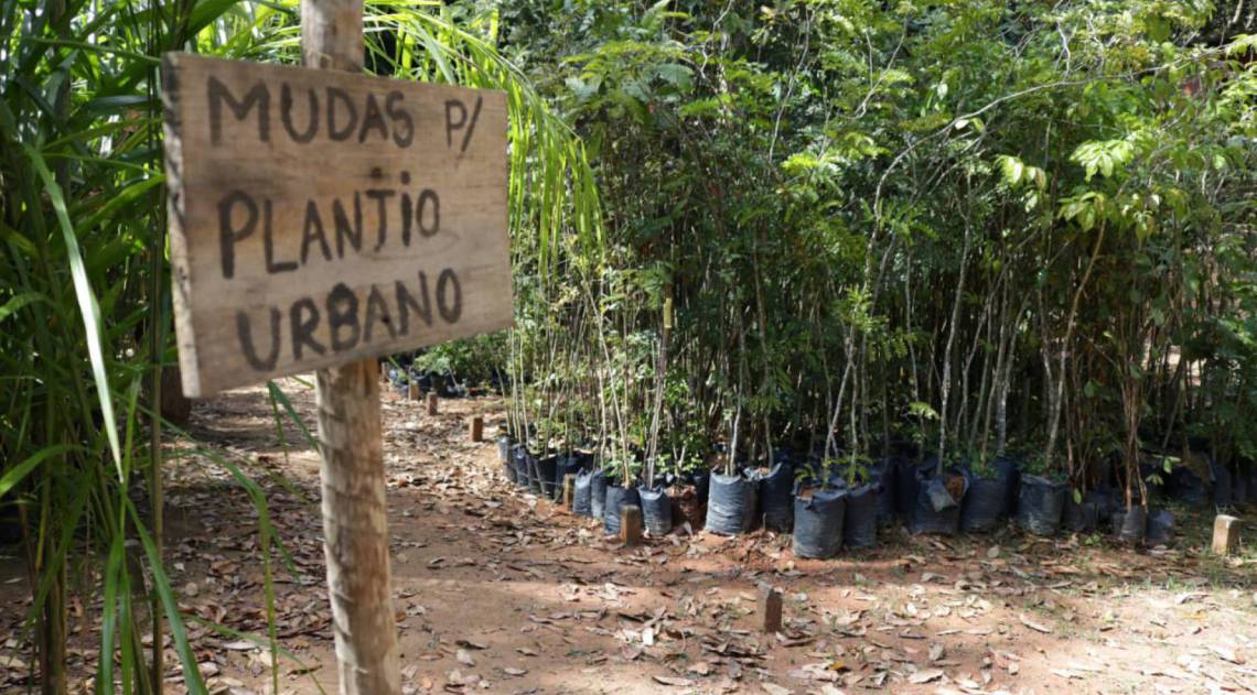Parque do Ingá em Volta Redonda abriga viveiro de mudas nativas da Mata Atlântica - Divulgação