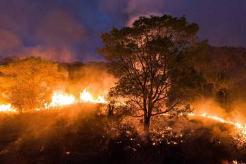 Bolsonaro fala em 'críticas desproporcionais' a incêndios na Amazônia e Pantanal
