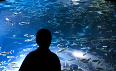 Setembro Dourado chama atenção para câncer em crianças e adolescentes