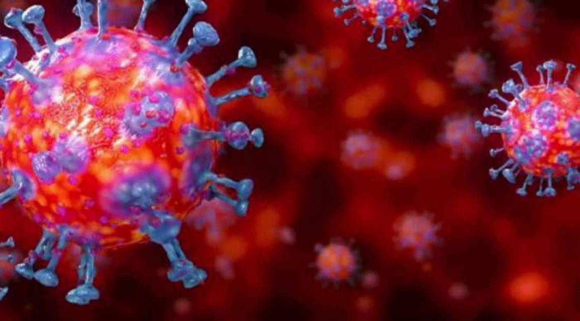 Um &oacute;bito suspeito est&aacute; sendo analisado - Divulga&ccedil;&atilde;o