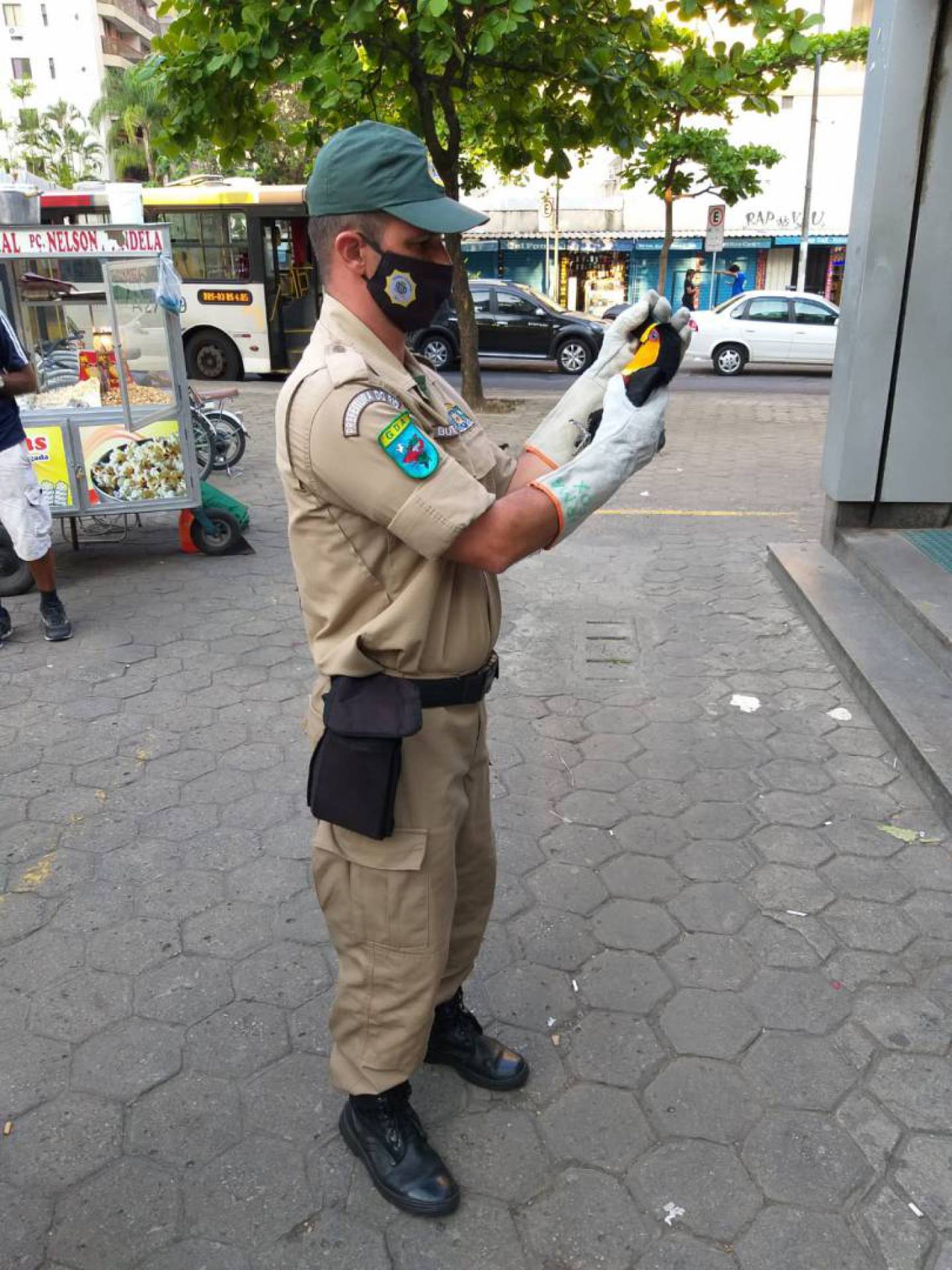 Tucano é resgatado na Estação de metrô de Botafogo, Zona Sul do Rio
