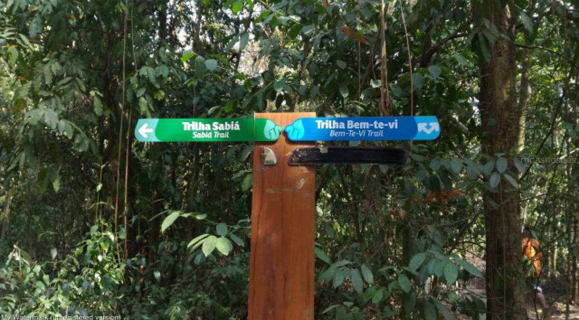 ZONA OESTE - LAZER A CÉU ABERTO - Bosque da Freguesia