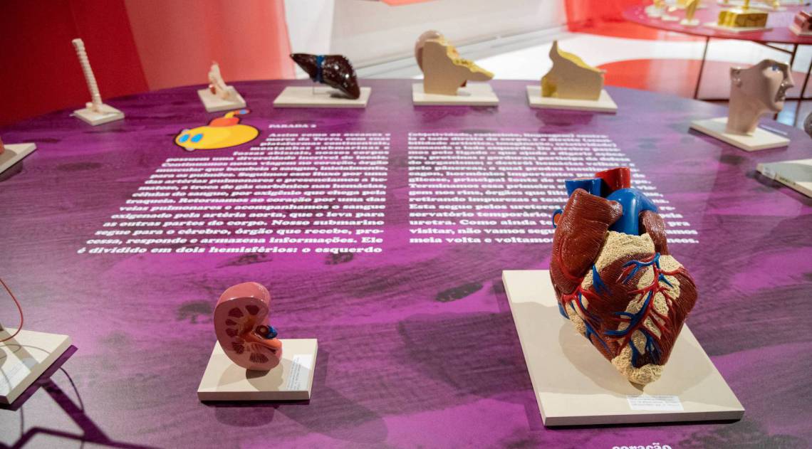 Museu Ciência e Vida