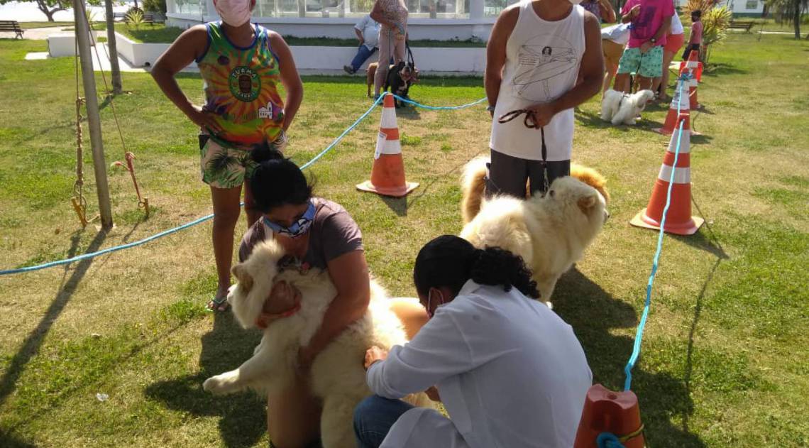 Dia D da campanha de vacinação antirrábica aconteceu na Praça do Bem Estar, no Centro de Saquarema - Prefeitura de Saquarema 