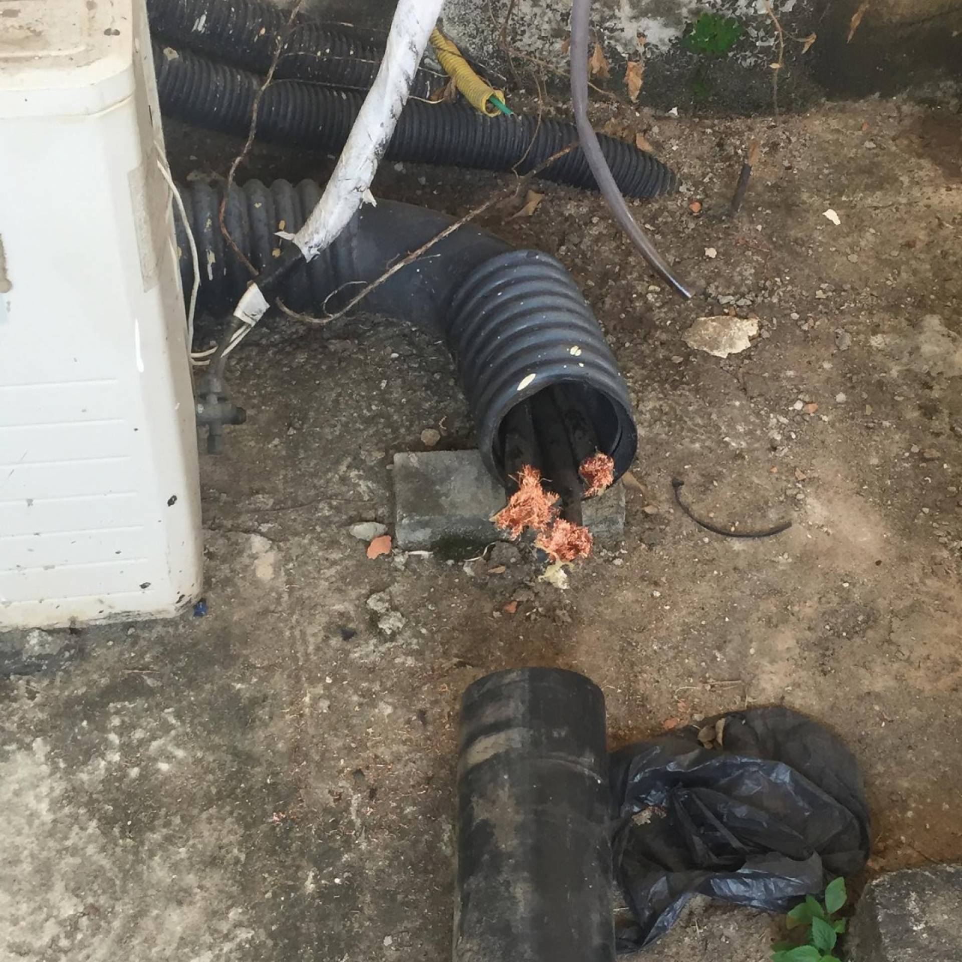 Fios de cobre do gerador da Igreja Matriz de Campos foram cortados e furtados