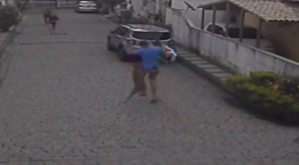 Morador teve que proteger o filho do animal - WhatsApp O DIA (21-98762-8248)