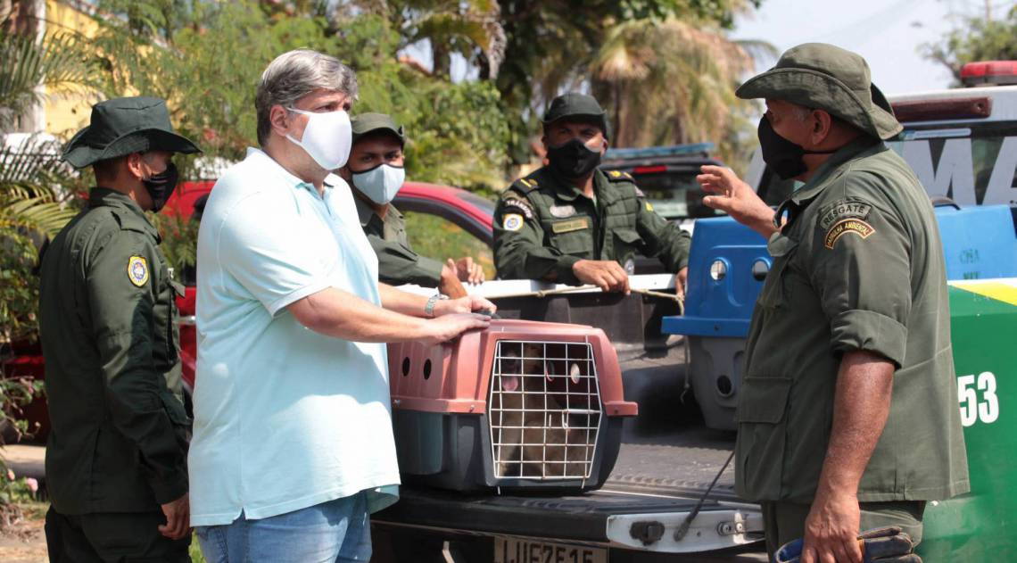 O abandono dos 43 cães provocou a denúncia de vizinhos do tutor - Berg Silva/Divulgação