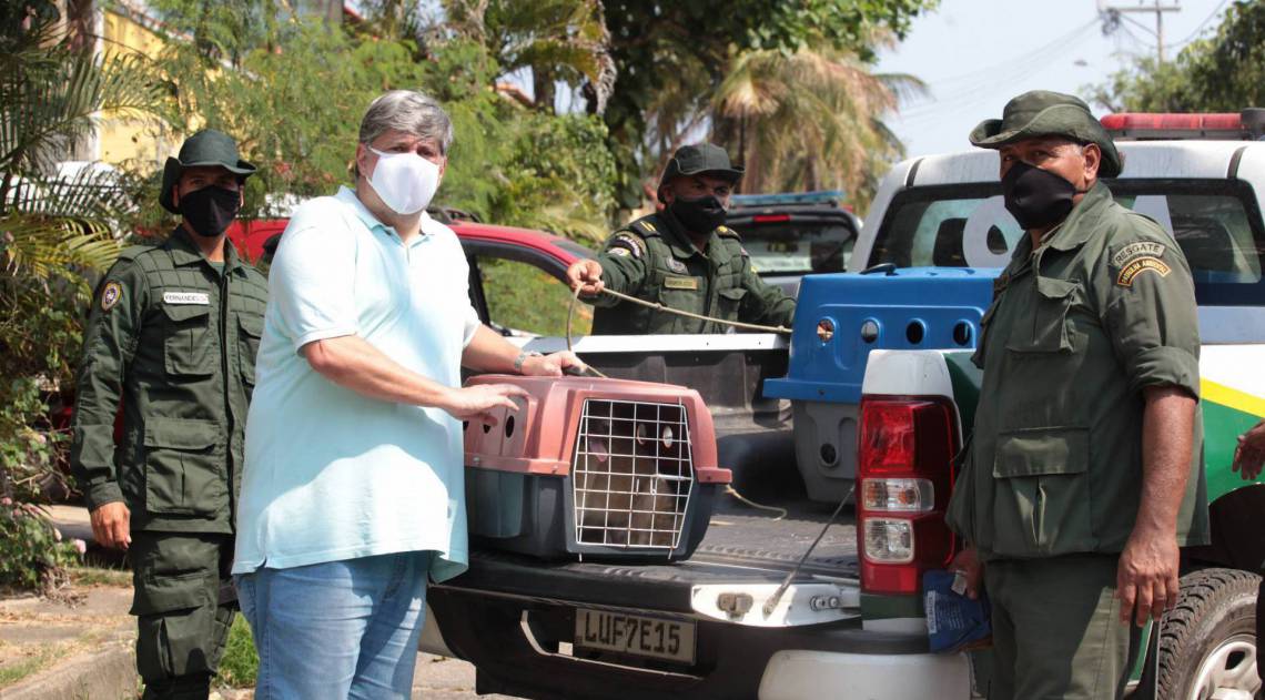 Opera&ccedil;&atilde;o resgata 43 c&atilde;es em Piratininga