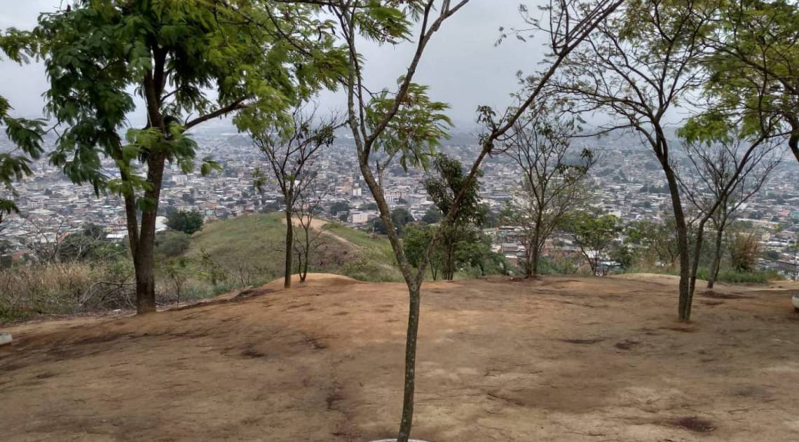 Programa estadual Florestas do Amanhã em São João de Meriti