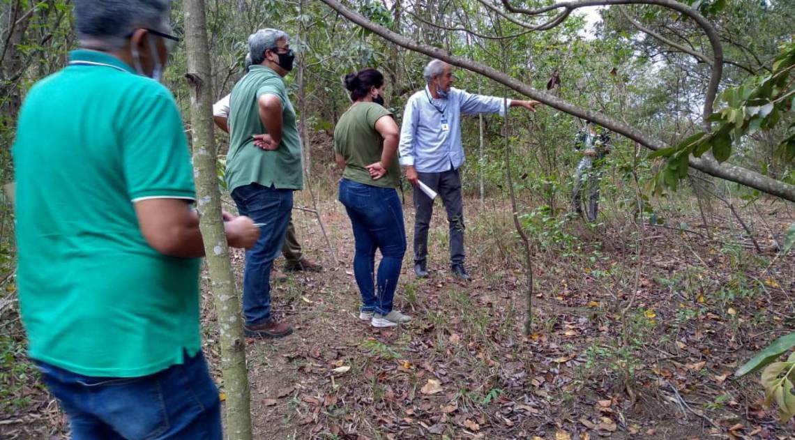 50 hectares serÃ£o reflorestados no municÃ­pio. 