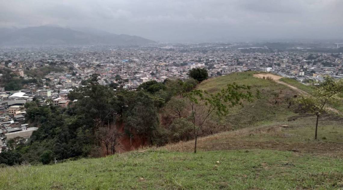 Programa estadual Florestas do Amanhã em São João de Meriti